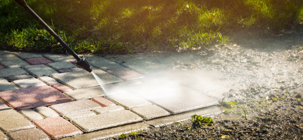 Best Warehouse Cleaning  in Marlette, MI
